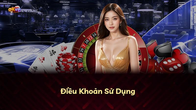 Điều Khoản Sử Dụng