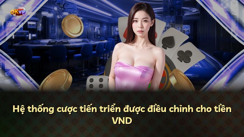 Hệ thống cược tiến triển được điều chỉnh cho tiền VND