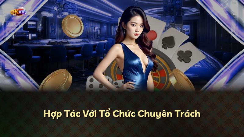 Hợp Tác Với Tổ Chức Chuyên Trách