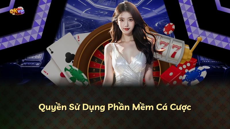 Quyền Sử Dụng Phần Mềm Cá Cược